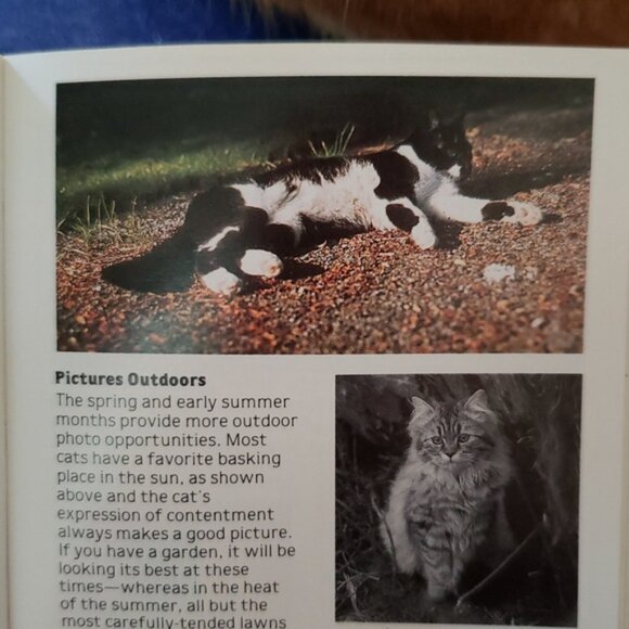 Cat Bundle of Artisan Silver Cat Earrings & Kodak Cat Photography Guide 1985 - Picture 5 of 8